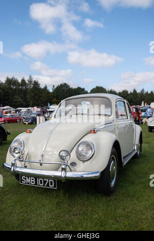 VW Käfer an Tatton Park Cheshire Stockfoto