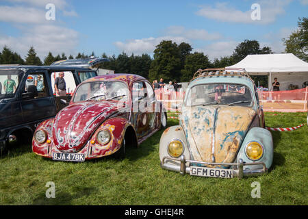 VW Käfer an Tatton Park Cheshire Stockfoto