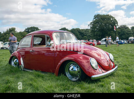 Typ 2 Volkswagen Beetle am Tatton Park Cheshire Stockfoto