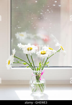 Blumenstrauß auf der Fensterbank Kamillen Stockfoto