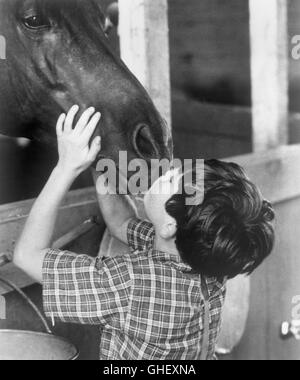 DER schwarze Hengst USA 1979 Carroll Ballard wenig Alec Ramsay (KELLY RENO) küsste seine geliebteste Pferd, The Black. Regie: Carroll Ballard Stockfoto