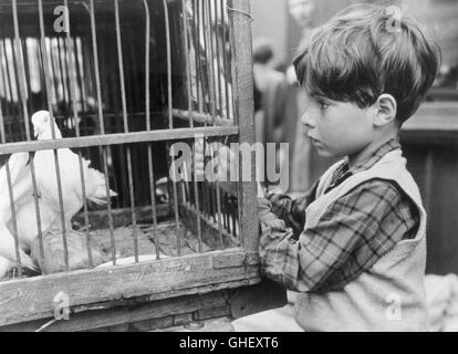 Ein Kind für zwei PFENNIGE UK 1955 Carol Reed die Taube in den Käfig und little Joe (JONATHAN ASHMORE)-Regie: Carol Reed Stockfoto