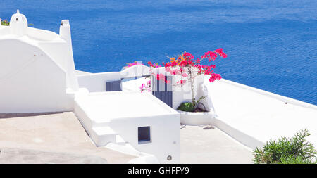 Traditionelle weiß getünchten Kykladenhaus mit blühenden Bougainvillea im Sommer, Santorini, Griechenland Stockfoto