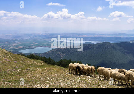 Blick vom Nimfaio Dorf hinunter ins Tal, in Florina, Griechenland Stockfoto