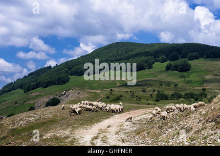 Landschaft in Nimfaio Dorf, Florina, Griechenland Stockfoto