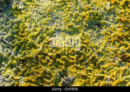 Den Schwefel Noten Rand des Ätna Krater Stockfoto