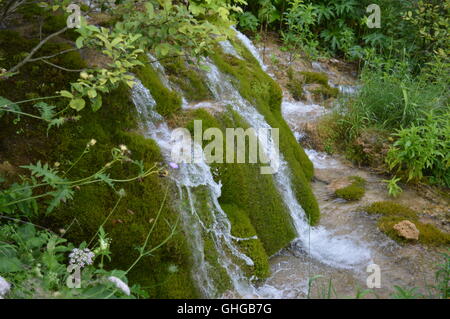 Wasser fließt über Moos Stockfoto