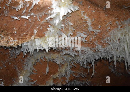 Die Decke einer Höhle Stockfoto