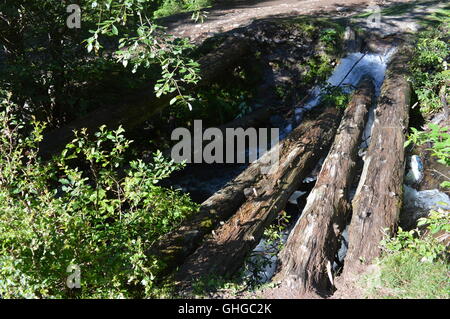 Brücke aus Baumstämmen über Fluss Stockfoto