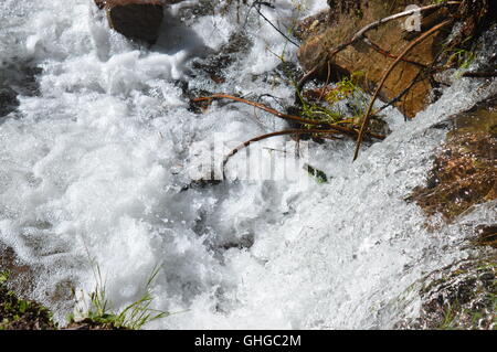 Schaum auf einem Wasserstrom Stockfoto