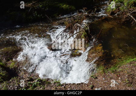 Schaum auf einem Fluss Stockfoto