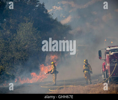 Mokassin, Kalifornien, USA. 27. Sep, 2016. 27. September übergießen 2016.CalFire Feuerwehrleute Flammen aus einem Sümpfe Feuer Backburn entlang Highway 49 zwischen der Mokassin-Kraftwerk in Mokassin und Coulterville, Kalifornien. Das Feuer ist etwa 1.000 Hektar und 25 % enthalten. Bildnachweis: Tracy Barbutes/ZUMA Draht/Alamy Live-Nachrichten Stockfoto