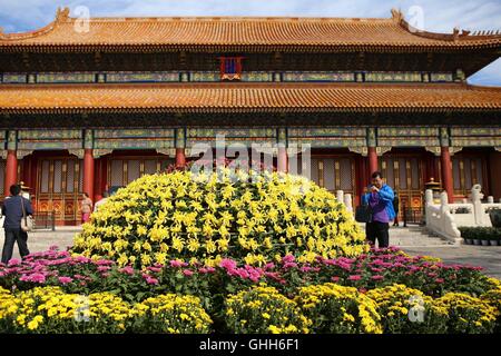 Peking, Peking, China. 27. Sep, 2016. Peking, CHINA-27 September 2016:? (REDAKTION? VERWENDEN SIE? NUR.? CHINA? RAUS) mehr als 30.000 Töpfe mit Chrysanthemen von Kaifeng Stadt sind auf dem Display im Palace Museum am 27. September 2016, Kennzeichnung der kommende Nationalfeiertag, die am 1. Oktober 2016 fällt. Die feinen Chrysanthemen von verschiedenen Arten sind in der verbotenen Stadt vom 27. September bis 16. Oktober 2016 präsentiert. Chrysantheme von Kaifeng Stadt, zentrale ChinaÂ¡Â¯s der Provinz Hunan, gilt als die erste Ebene Chrysantheme in China. © SIPA Asien/ZUMA Draht/Alamy Live-Nachrichten Stockfoto