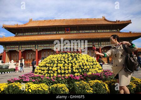 Peking, Peking, China. 27. Sep, 2016. Peking, CHINA-27 September 2016:? (REDAKTION? VERWENDEN SIE? NUR.? CHINA? RAUS) mehr als 30.000 Töpfe mit Chrysanthemen von Kaifeng Stadt sind auf dem Display im Palace Museum am 27. September 2016, Kennzeichnung der kommende Nationalfeiertag, die am 1. Oktober 2016 fällt. Die feinen Chrysanthemen von verschiedenen Arten sind in der verbotenen Stadt vom 27. September bis 16. Oktober 2016 präsentiert. Chrysantheme von Kaifeng Stadt, zentrale ChinaÂ¡Â¯s der Provinz Hunan, gilt als die erste Ebene Chrysantheme in China. © SIPA Asien/ZUMA Draht/Alamy Live-Nachrichten Stockfoto