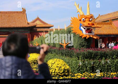 Peking, Peking, China. 27. Sep, 2016. Peking, CHINA-27 September 2016:? (REDAKTION? VERWENDEN SIE? NUR.? CHINA? RAUS) mehr als 30.000 Töpfe mit Chrysanthemen von Kaifeng Stadt sind auf dem Display im Palace Museum am 27. September 2016, Kennzeichnung der kommende Nationalfeiertag, die am 1. Oktober 2016 fällt. Die feinen Chrysanthemen von verschiedenen Arten sind in der verbotenen Stadt vom 27. September bis 16. Oktober 2016 präsentiert. Chrysantheme von Kaifeng Stadt, zentrale ChinaÂ¡Â¯s der Provinz Hunan, gilt als die erste Ebene Chrysantheme in China. © SIPA Asien/ZUMA Draht/Alamy Live-Nachrichten Stockfoto