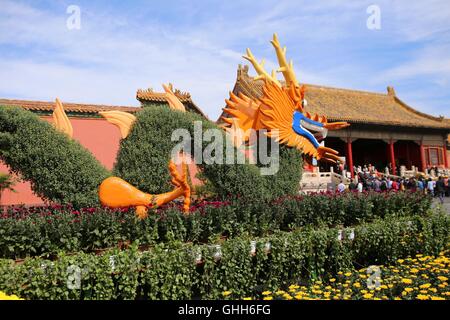 Peking, Peking, China. 27. Sep, 2016. Peking, CHINA-27 September 2016:? (REDAKTION? VERWENDEN SIE? NUR.? CHINA? RAUS) mehr als 30.000 Töpfe mit Chrysanthemen von Kaifeng Stadt sind auf dem Display im Palace Museum am 27. September 2016, Kennzeichnung der kommende Nationalfeiertag, die am 1. Oktober 2016 fällt. Die feinen Chrysanthemen von verschiedenen Arten sind in der verbotenen Stadt vom 27. September bis 16. Oktober 2016 präsentiert. Chrysantheme von Kaifeng Stadt, zentrale ChinaÂ¡Â¯s der Provinz Hunan, gilt als die erste Ebene Chrysantheme in China. © SIPA Asien/ZUMA Draht/Alamy Live-Nachrichten Stockfoto