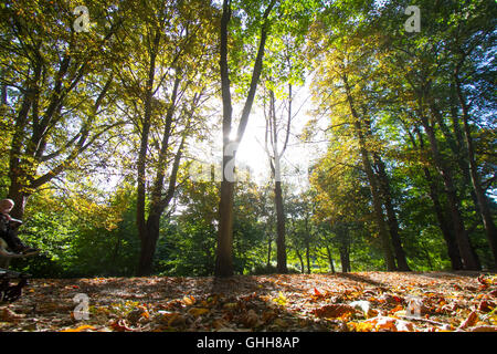 Wimbledon London, UK. 28. Sep 2016.Wimbledon gemeinsamen sonnigen Herbst Credit: Amer Ghazzal/Alamy Live-Nachrichten Stockfoto