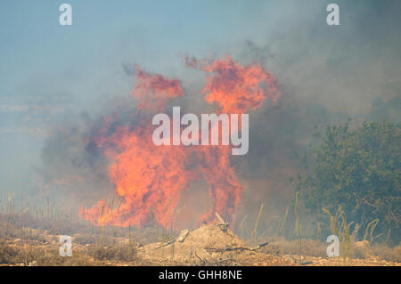 Peyia, Paphos, Zypern. 28. September 2016. Feuer brach heute auf einem Hügel in der Nähe von Peyia, Paphos, Zypern und verbreitete sich schnell in den starken Winden. Gab es eine Menge Rauch und einige Eigenschaft war gefährdet. Die Feuerwehr konnte nur den Umfang um die Ausbreitung enthalten. Das Feuer ausgebrannt nach zwei Stunden und wurde unten durch Hubschrauber Bomben Wasser gedämpft. Bildnachweis: Duncan Anderson/Alamy Live News Stockfoto