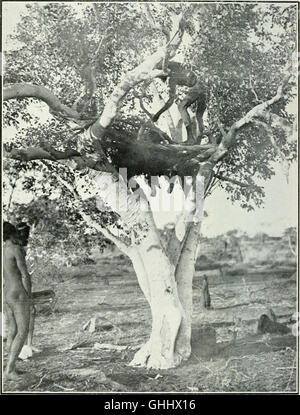 Das Commonwealth of Australia; Bundes-Handbuch, vorbereitet im Zusammenhang mit der 80-vierte Sitzung der britischen Verbindung für die Zuführung der Wissenschaft, statt in Australien, August 1914 (1914) Stockfoto