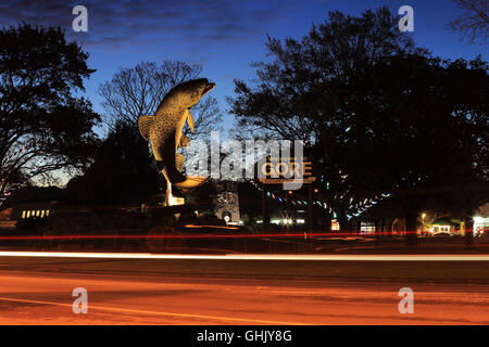 Riesige Forellen, Gore, Southland, Neuseeland Stockfoto