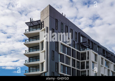 Neubau Wohnung in Glebe im Inneren Westen Sydneys Stockfoto