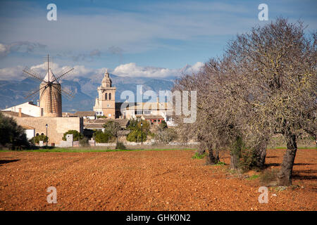 Windmühle Mallorca Mallorca Balearen Spanien Stockfoto