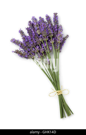 Bouquet von frischen Lila Lavendel Blumen auf weißem Hintergrund Stockfoto
