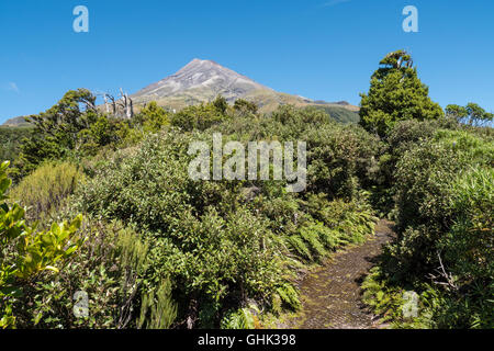 Mount Taranaki, Egmont National Park, North Island, Neuseeland. Stockfoto