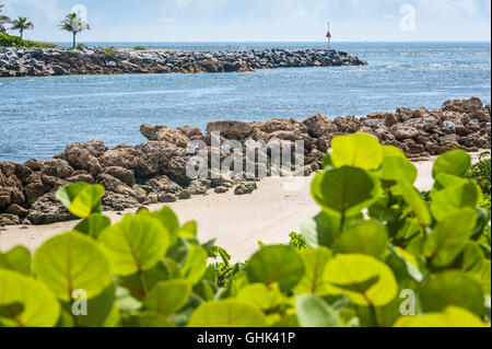South Florida schöne Jupiter Einlass am nördlichen Ende von Palm Beach County. (USA) Stockfoto