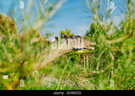 NOVI SAD, Serbien - 7. August 2016: Stegosaurus Leben Größe Modell des prähistorischen Tieres im Thema Entertainment Dino-Park. Stockfoto