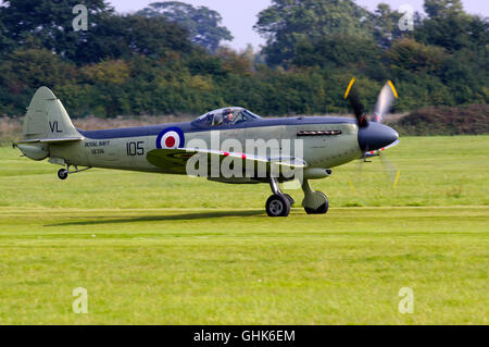 Vickers Supermarine Seafire XVII, SX336 G-KASX, am Old Warden Airfield, Stockfoto