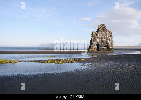 Hvítserkur Felsformation am schwarzen Strand im Norden von Island. Stockfoto