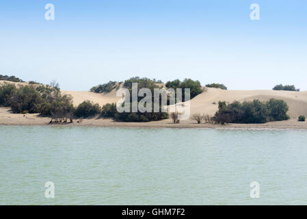 Charca de Maspalomas (Maspalomas Teich) in Gran Canaria Stockfoto