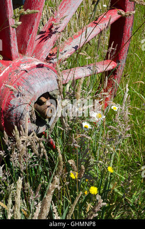Alte Karre Rad im Feld in der Nähe von Otorohanga, Nordinsel, Neuseeland Stockfoto