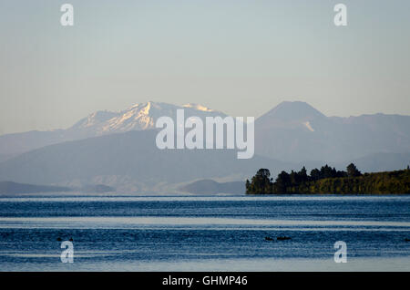 Reittiere Tongariro, Ruapehu und Ngaruhoe über Lake Taupo, Nordinsel, Neuseeland Stockfoto