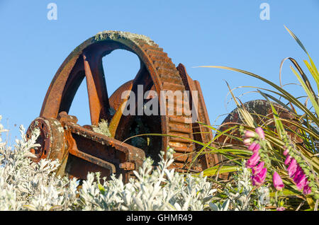 Großes Zahnrad, Mangatepopo, Tongariro Nationalpark, Nordinsel, Neuseeland Stockfoto