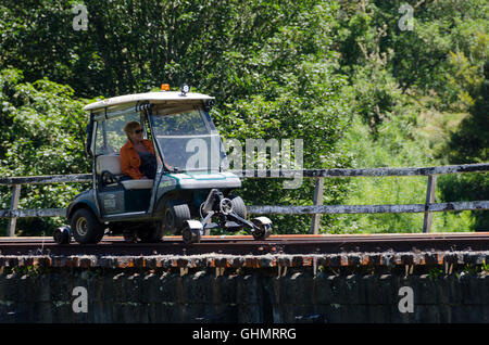 Golf-Cart-Bahn bei Whangamomona, Forgotten Highway, Taranaki, Nordinsel, Neuseeland Stockfoto