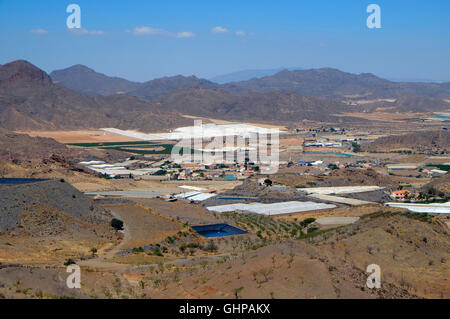 Obstbau in der Nähe Calabardina, Spanien Stockfoto