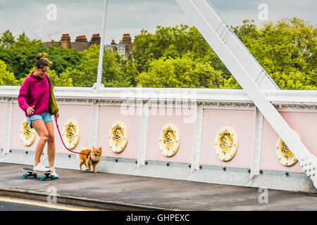 Eine junge Frau auf einem Skateboard mit verprügelten Knien, die mit ihrem pommerschen Hund auf der Albert Bridge, Chelsea, London, England, Großbritannien läuft Stockfoto