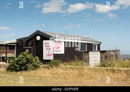 Ein Fischerdorf Schuppen und Fisch-Shop verkaufen frischen Fisch am Strand von Aldeburgh Sufolk UK Stockfoto