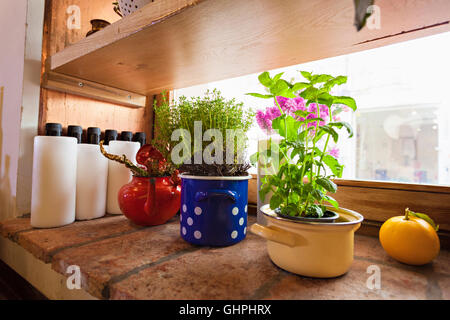 Küchenkräuter in Töpfen auf der Fensterbank platziert Stockfoto