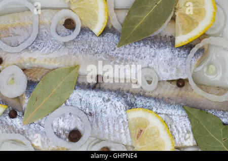 Hering mit Zwiebeln auf Platte Stockfoto