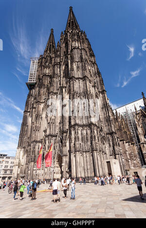 Kölner Dom in Köln. North Rhine-Westphalia, Germany Stockfoto