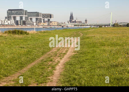 Grünen Wiese am rechten Ufer des Rheins in Köln, Deutschland Stockfoto