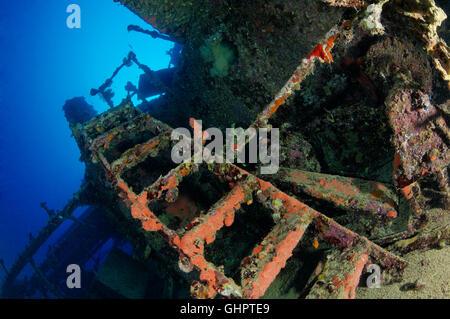 Schiffbruch SS Turbo, Taucher und Schiffswrack, Turbo-Wrack, Ras Banas, Rotes Meer, Ägypten, Afrika Stockfoto