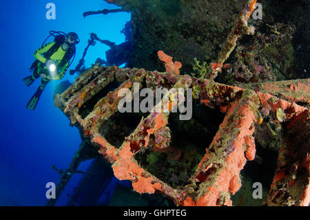 Schiffbruch SS Turbo, Taucher und Schiffswrack, Turbo-Wrack, Ras Banas, Rotes Meer, Ägypten, Afrika Stockfoto