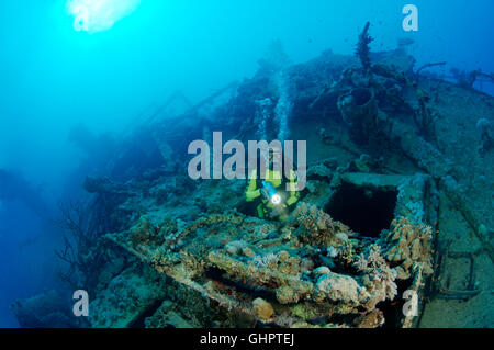 Schiffbruch SS Turbo, Taucher und Schiffswrack, Turbo-Wrack, Ras Banas, Rotes Meer, Ägypten, Afrika Stockfoto