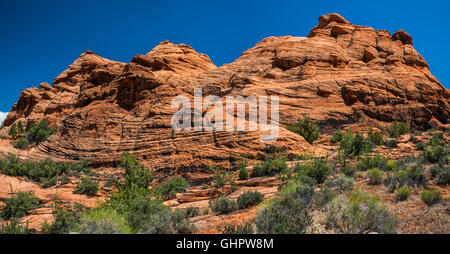 Crossbedding zu Navajo Sandstein Klippen über versteckte Pinyon Trail bei Snow Canyon State Park, Utah, USA Stockfoto