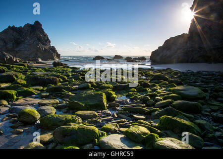 Meer-Stacks und felsigen Strand von Bedruthan Steps entlang der Küste von Cornwall, England Stockfoto