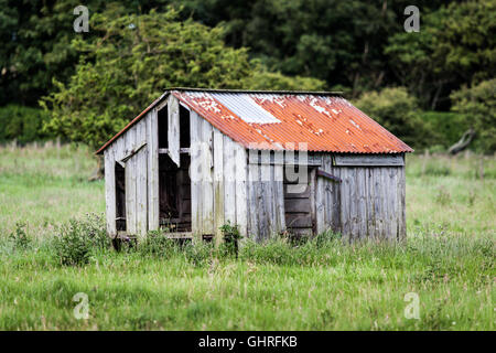 Rostiges Metall überdacht klapprigen alten Holzschuppen auf einer Weide auf Holy Island, Northumberland in ländlicher Umgebung Stockfoto